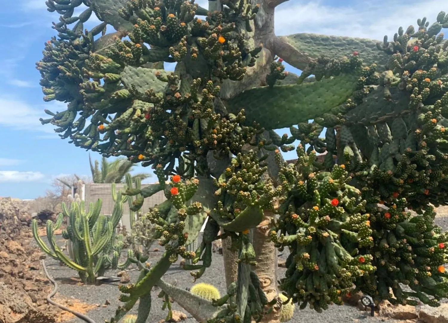 Casa Estela Villaverde  Spanien