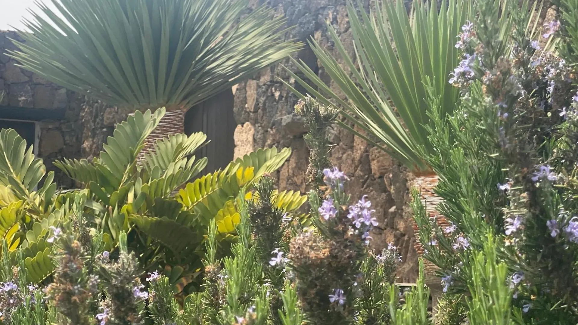 Casa Estela Villaverde  Semesterbostad